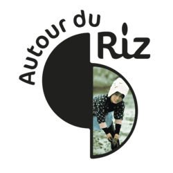 Autour du Riz