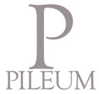 Pileum